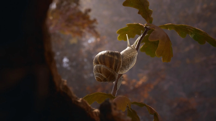 《Empire of the Ants 蚂蚁》公开新实机展示影片！引领蚁群征服丛林击败强敌