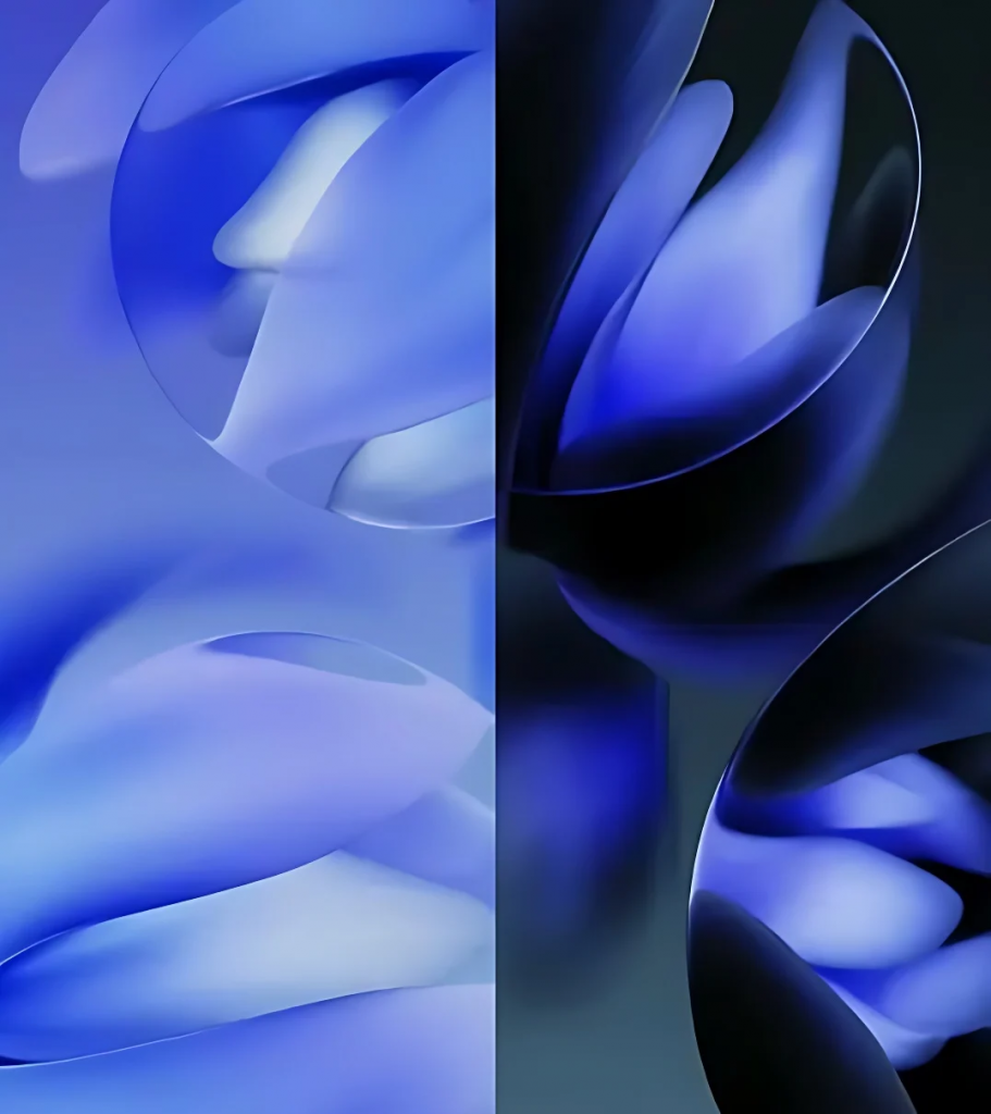 Pixel 9a 疑似官方壁纸曝光，花卉主题，附高清版本 第2张