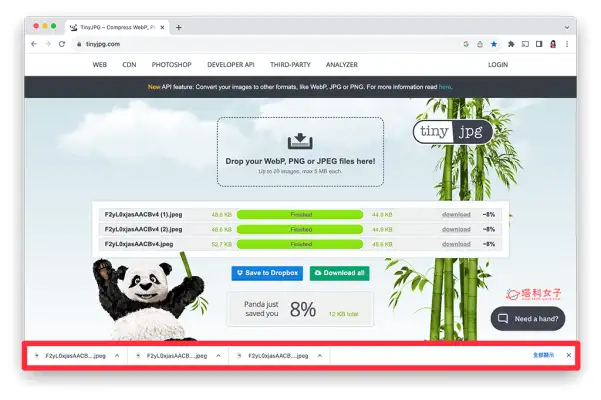 百度Chrome 下载列消失？这方法将 底部下载列恢复显示 第6张