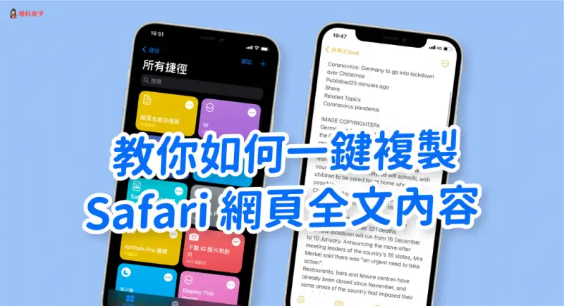 教你如何快速全选并复制 Safari 网页全部内容 第1张