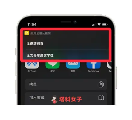 教你如何快速全选并复制 Safari 网页全部内容 第4张