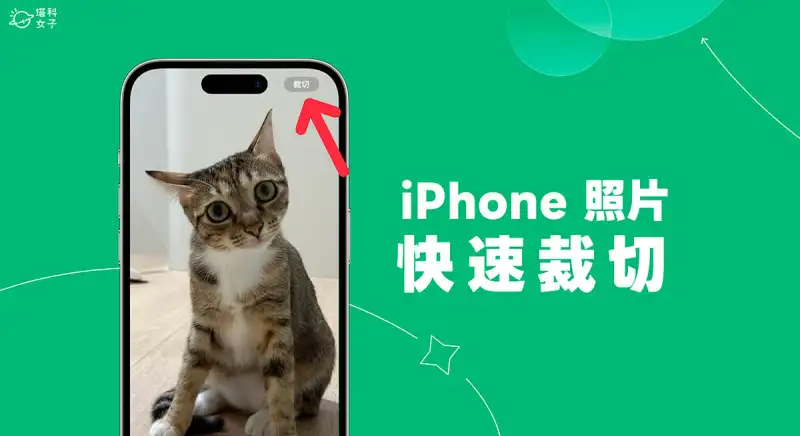 iPhone 照片裁切功能可快速裁切 照片并选择照片比例 (iOS17) 第1张