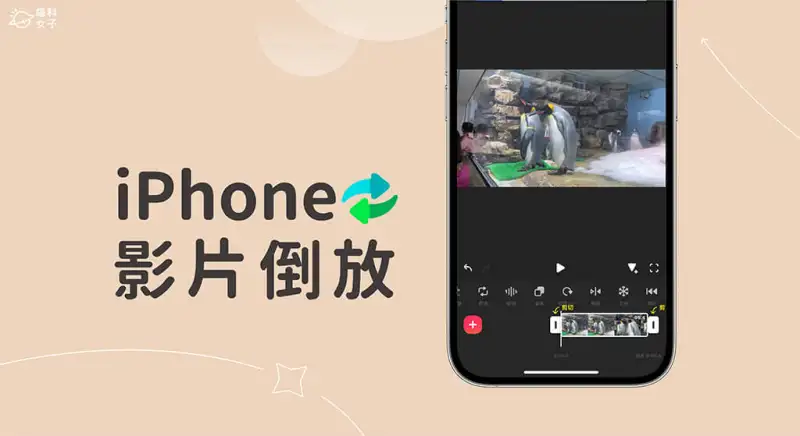 iPhone 视频回放怎么用？教你 2 招实现视频倒转效果 第1张