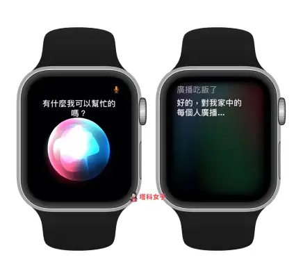 HomePod 广播怎么用？Apple 装置设置与 Siri 指令完整教程 第5张