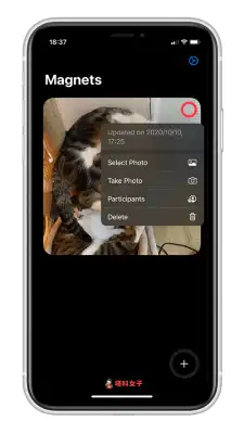iOS 14 照片共享小工具 Magnets：让你跟朋友显示同一张照片在 iPhone 桌面 第4张
