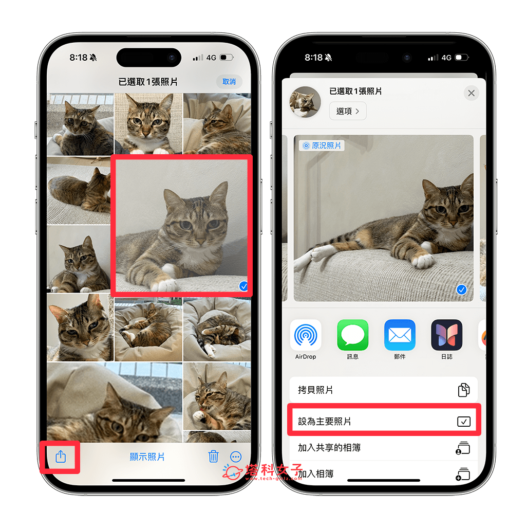 iPhone 相册人物封面更改教程，将喜欢的照片设为人物/宠物相册封面 - iPhone 照片， iPhone 相册 - 塔科女子
