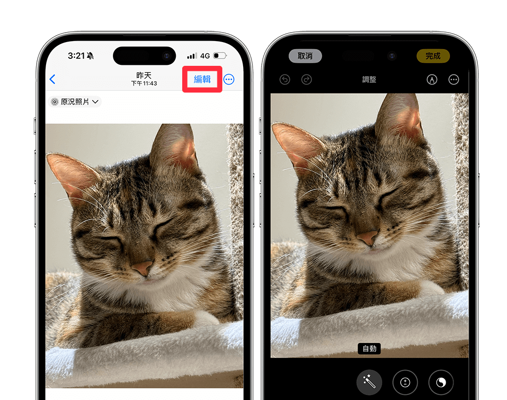 Apple Watch 动态表面设置教程，将 GIF 或原况照片设为会动的动态壁纸！