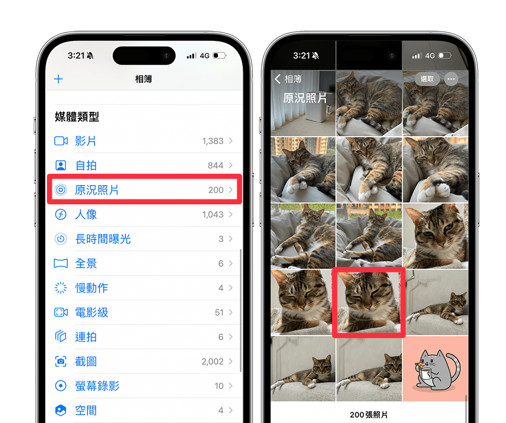 Apple Watch 动态表面设置教程，将 GIF 或原况照片设为会动的动态壁纸！