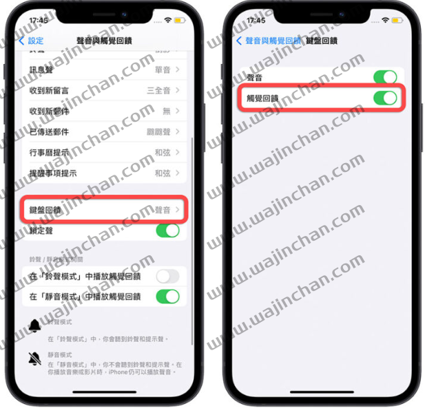 iOS 16 如何设置打字震动回馈效果？简单2 步骤开启触觉回馈 第2张