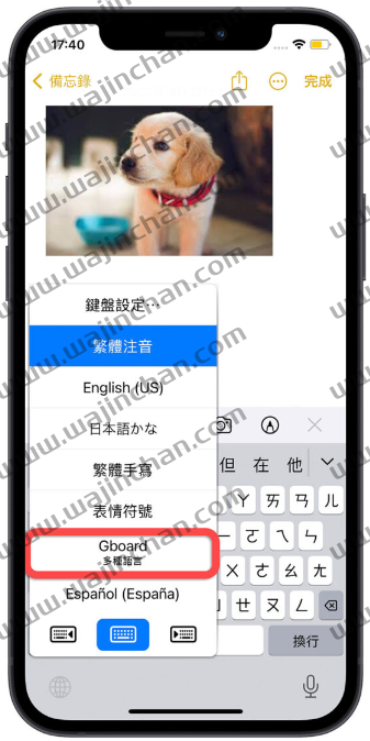 iOS 16 如何设置打字震动回馈效果？简单2 步骤开启触觉回馈 第4张