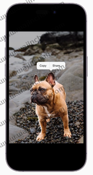iOS 16 值得你更新的5 个超实用新功能：自定义锁定画面、一键去背等 第5张