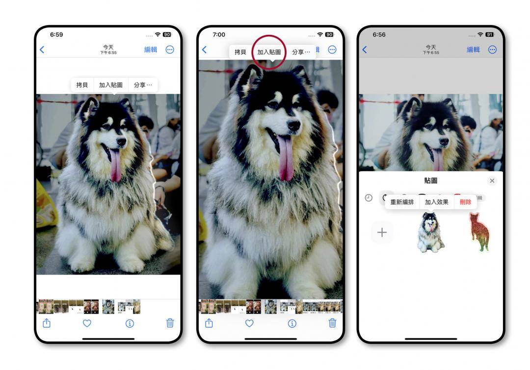 iPhone操控更升级 iOS 17 更新释出 必学10招实用技巧