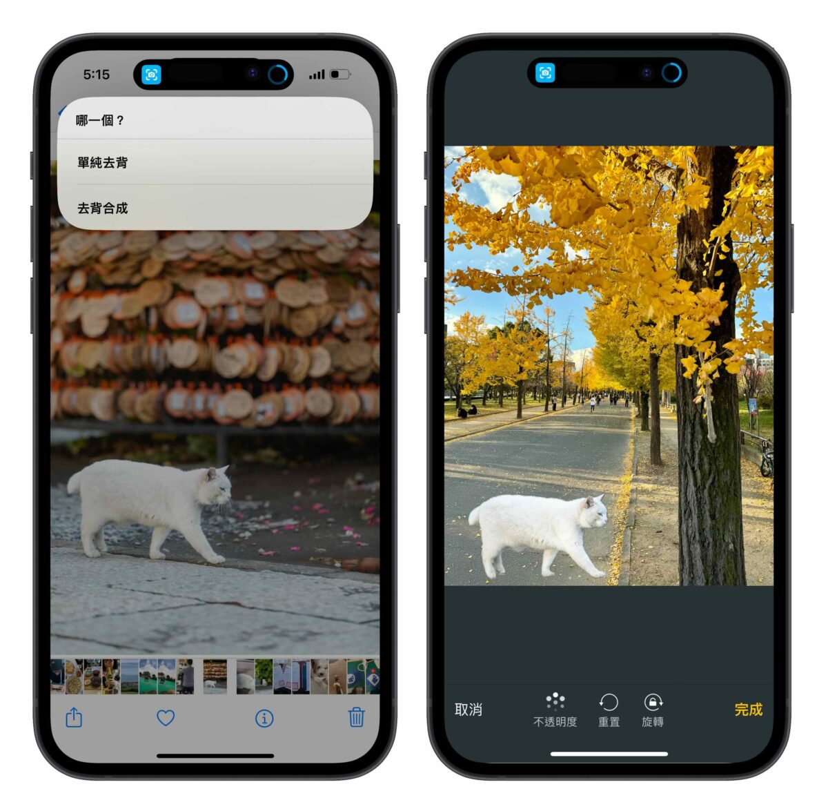 iPhone 照片去背合成捷径分享：去背顺便换背景，轻鬆打造更有趣的图片情境 第2张