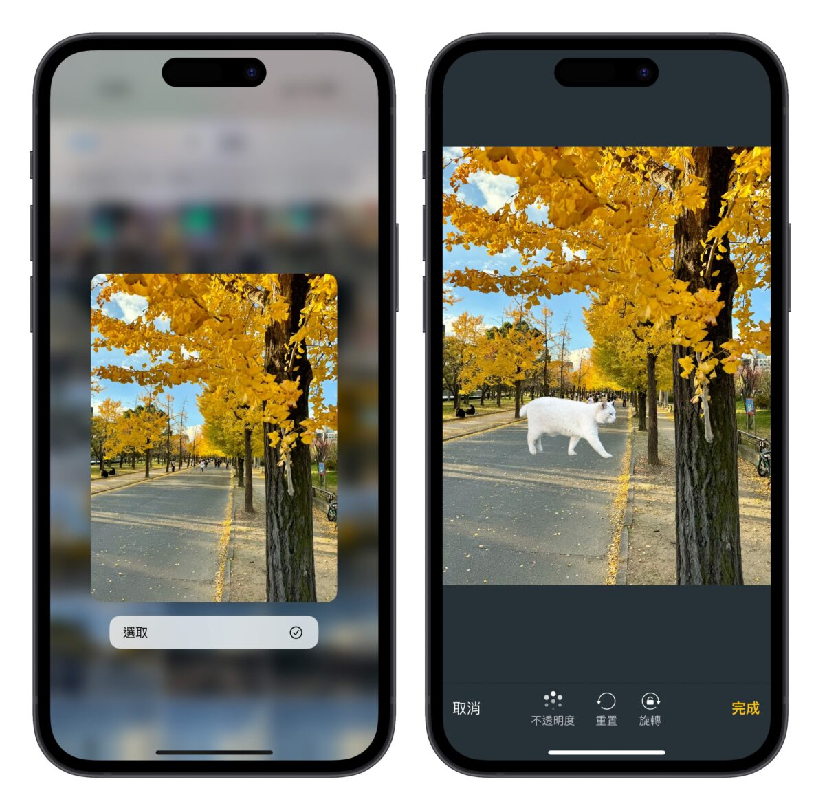 iPhone 照片去背合成捷径分享：去背顺便换背景，轻鬆打造更有趣的图片情境 第6张