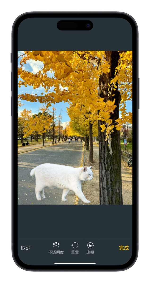 iPhone 照片去背合成捷径分享：去背顺便换背景，轻鬆打造更有趣的图片情境 第7张