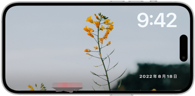 iPhone 待机模式照片更改教程，自定义iOS17待机画面显示的照片 第6张
