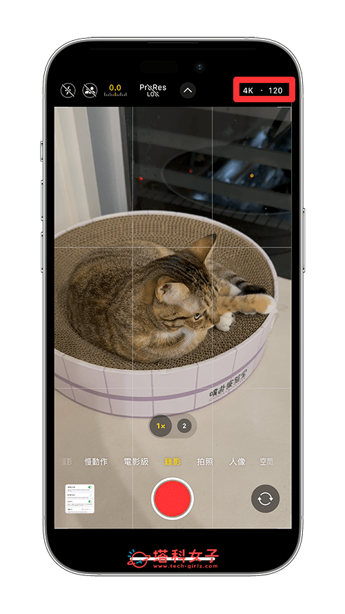 iPhone 16 与 Pro 功能设置教程，14 个必学使用技巧！ 第15张