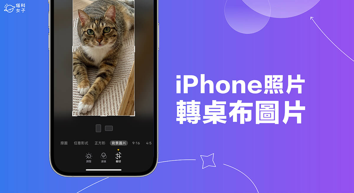 iPhone 照片转壁纸设置教程，将任何照片转为符合壁纸比例的背景图片 第1张