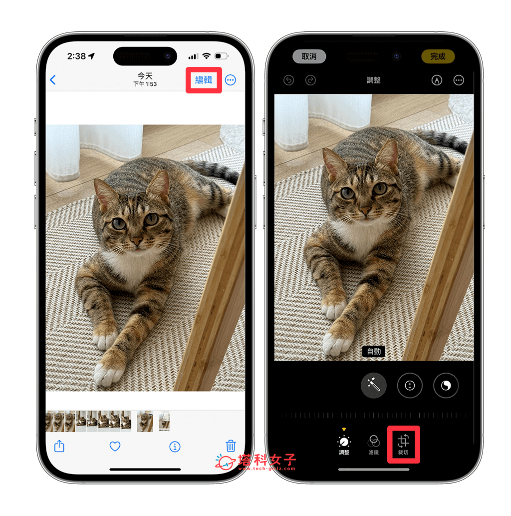 iPhone 照片转壁纸设置教程，将任何照片转为符合壁纸比例的背景图片 第3张