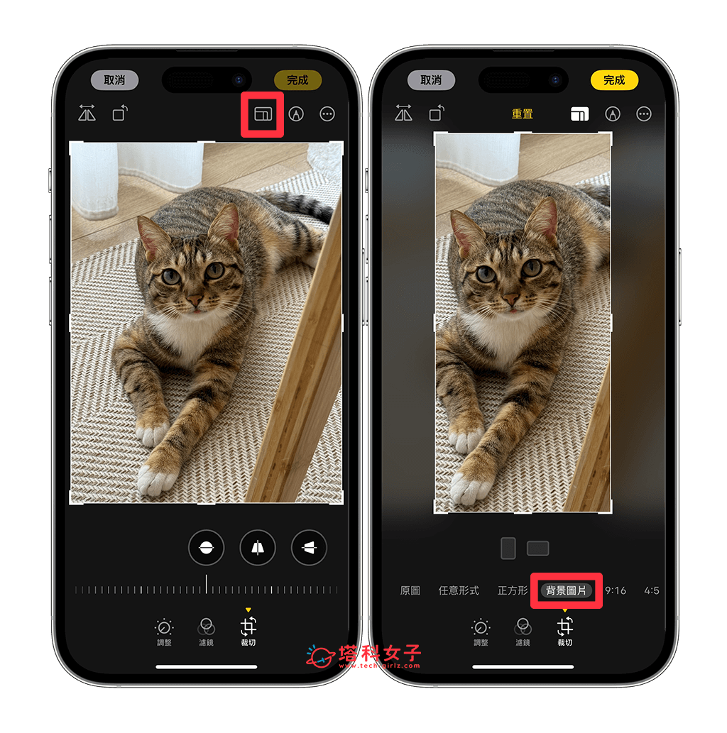iPhone 照片转壁纸设置教程，将任何照片转为符合壁纸比例的背景图片 第4张