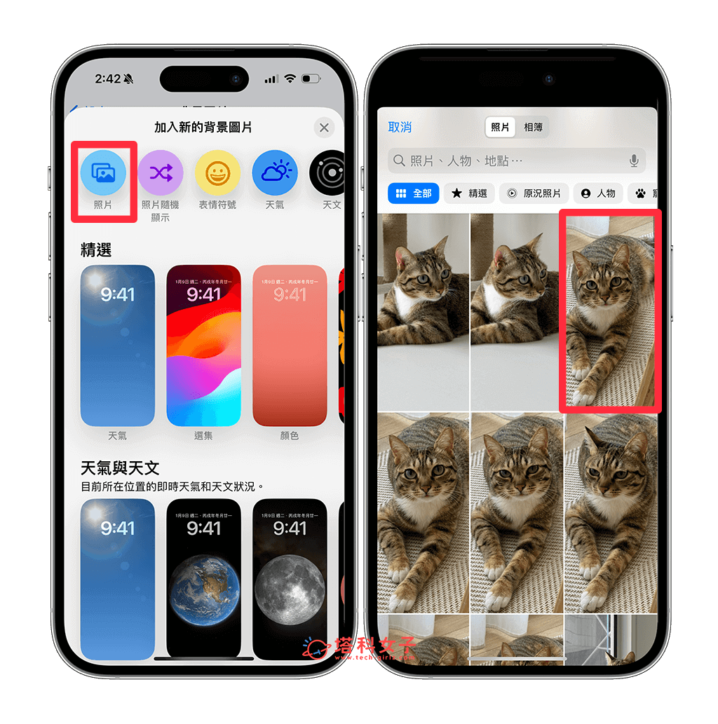 iPhone 照片转壁纸设置教程，将任何照片转为符合壁纸比例的背景图片 第6张