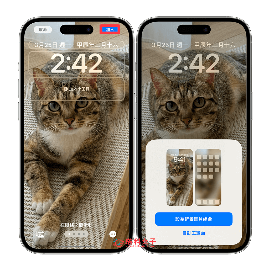 iPhone 照片转壁纸设置教程，将任何照片转为符合壁纸比例的背景图片 第7张