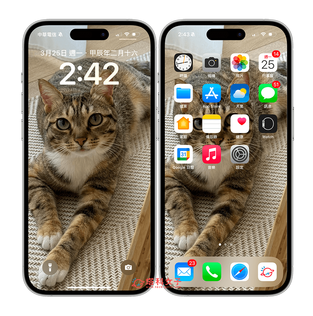 iPhone 照片转壁纸设置教程，将任何照片转为符合壁纸比例的背景图片 第8张