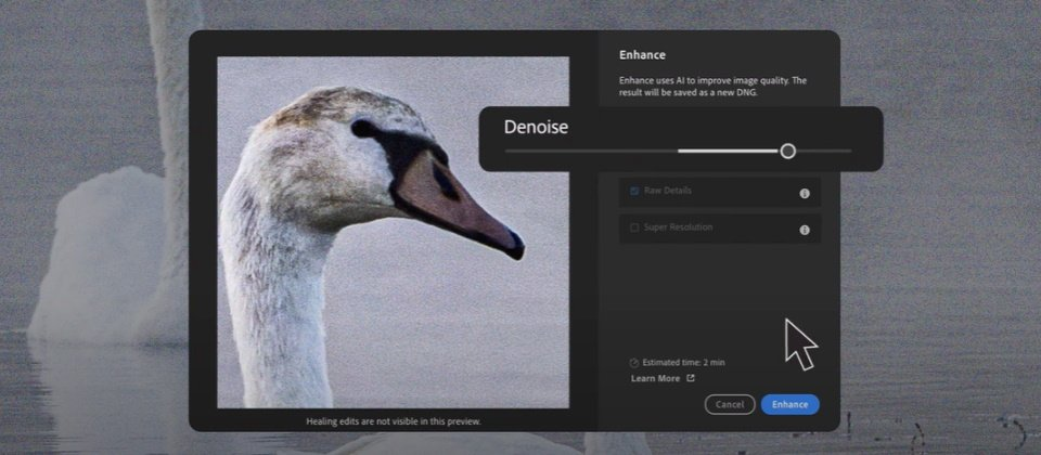 Adobe Lightroom新增以AI消除噪点、强化细节修整的功能