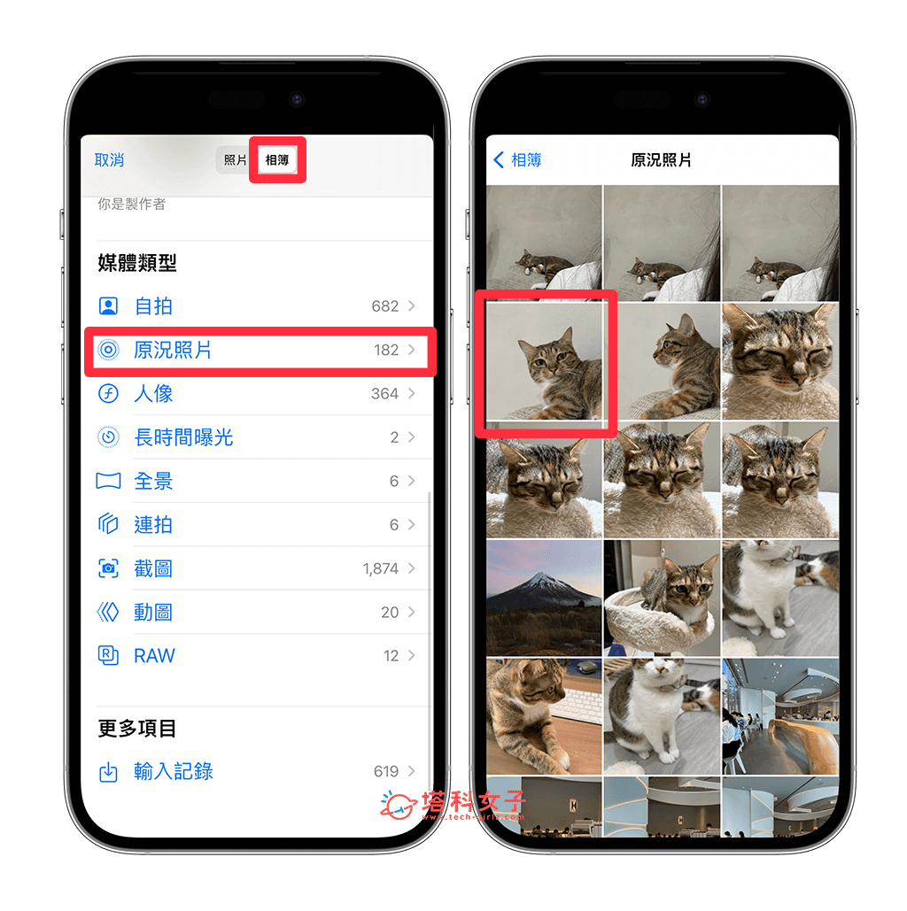 iPhone 动态壁纸设置教程，将原况照片设为动态壁纸 (iOS17) 第5张