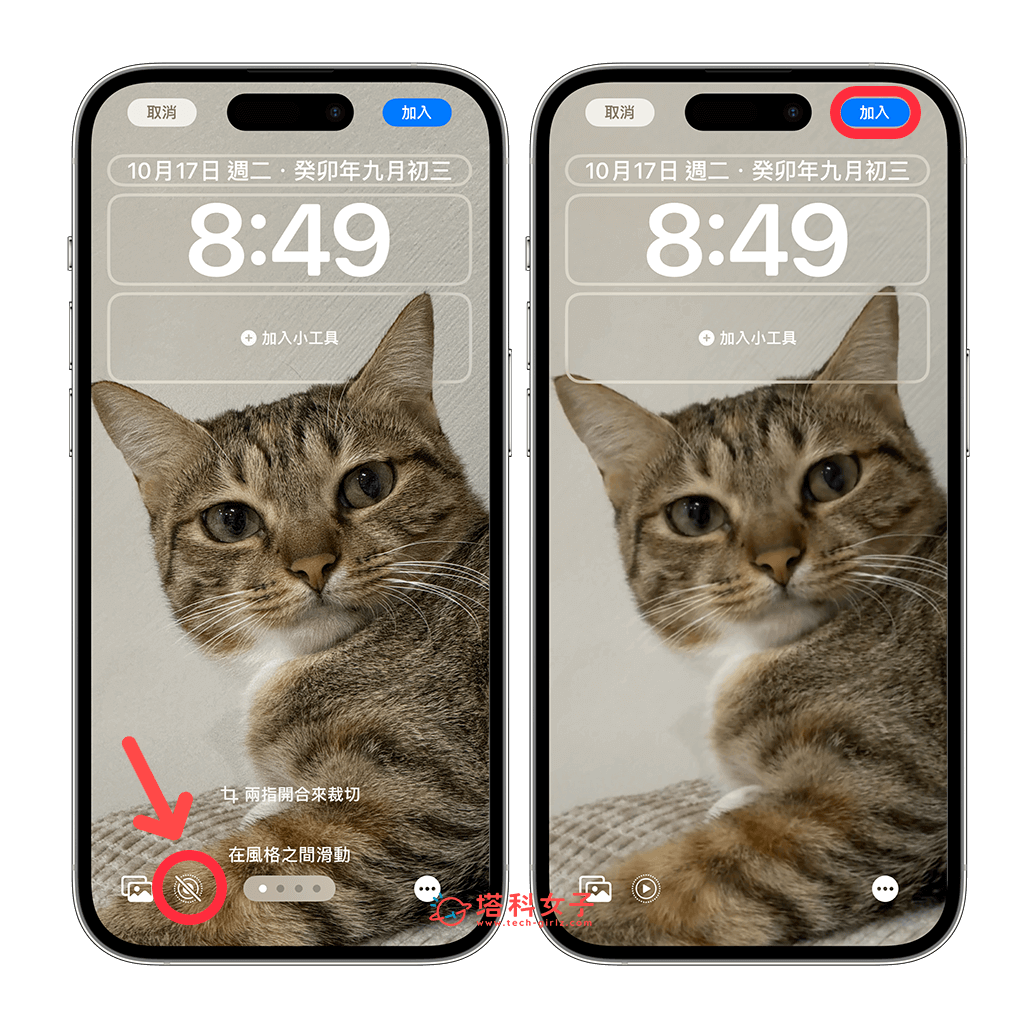 iPhone 动态壁纸设置教程，将原况照片设为动态壁纸 (iOS17) 第6张