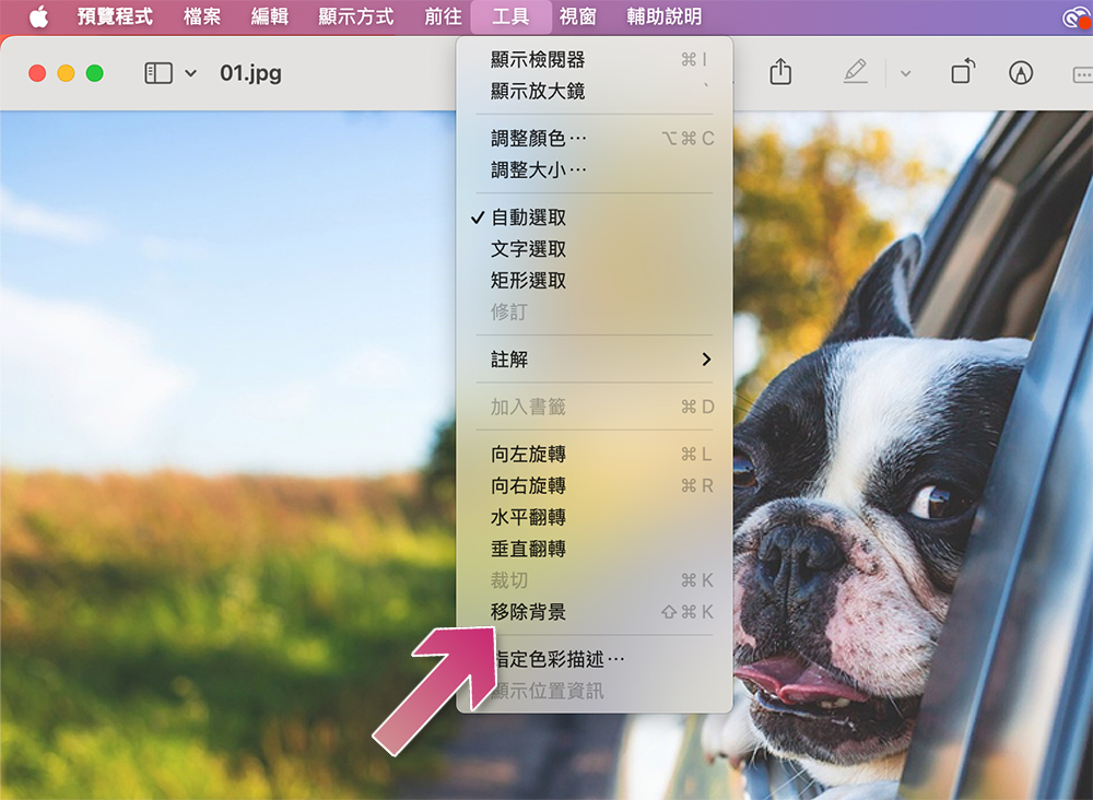 5 个 macOS 「预览」应用中的必用却可能不知道的功能 - 摩榜
