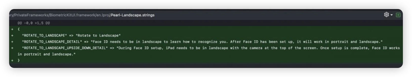 iPad 10 FaceTime iPad Pro Face ID iOS 17.4 Beta
