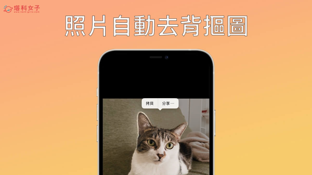 iOS 16 功能总整理：40 个 iPhone 用户必学 iOS16 更新内容完整介绍 第13张