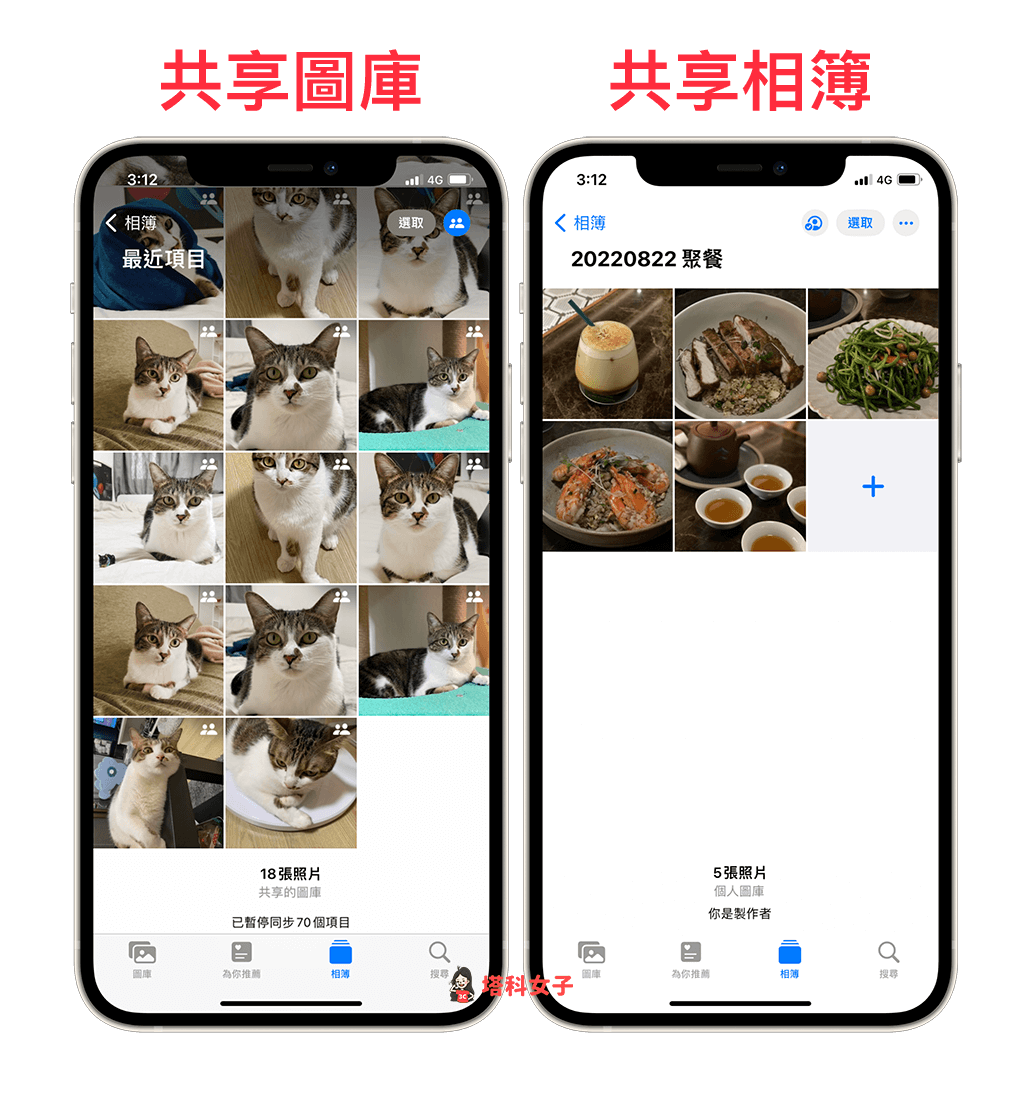 iCloud 共享图库使用教程，共享设置、相机共享、照片 第3张