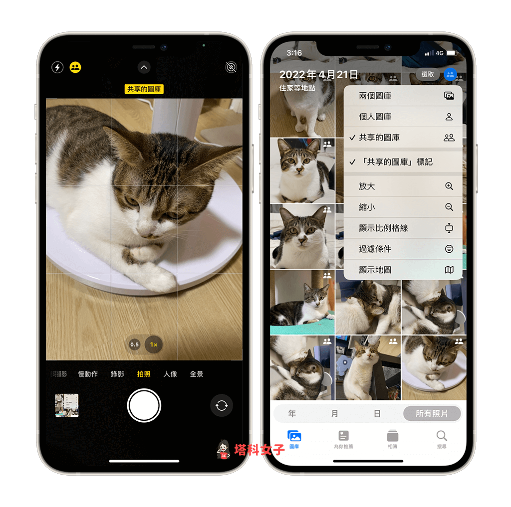 iCloud 共享图库使用教程，共享设置、相机共享、照片 第2张