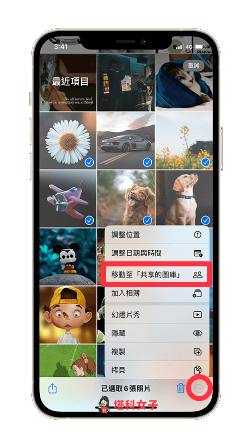 iCloud 共享图库使用教程，共享设置、相机共享、照片 第10张
