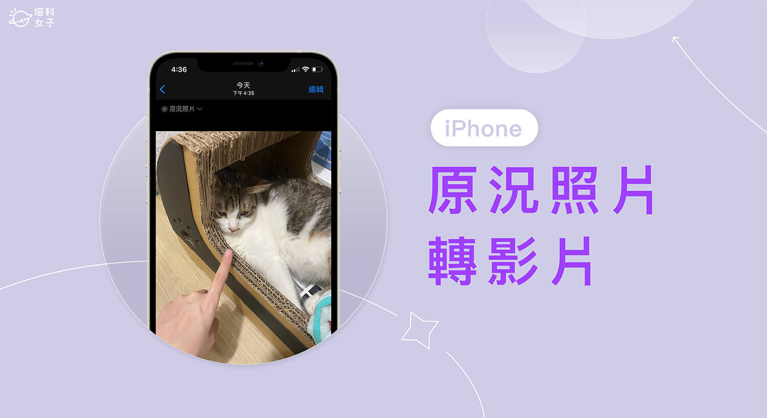 iPhone 原况照片转视频教程，使用 iOS 内置功能一键完成 第1张