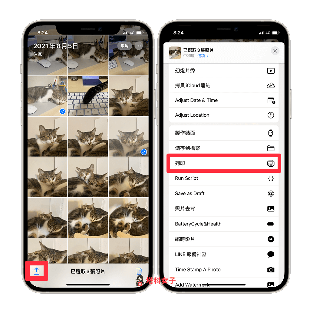 iPhone 照片转 PDF 教程，3 招将照片从 JPG 转 PDF！ 第2张