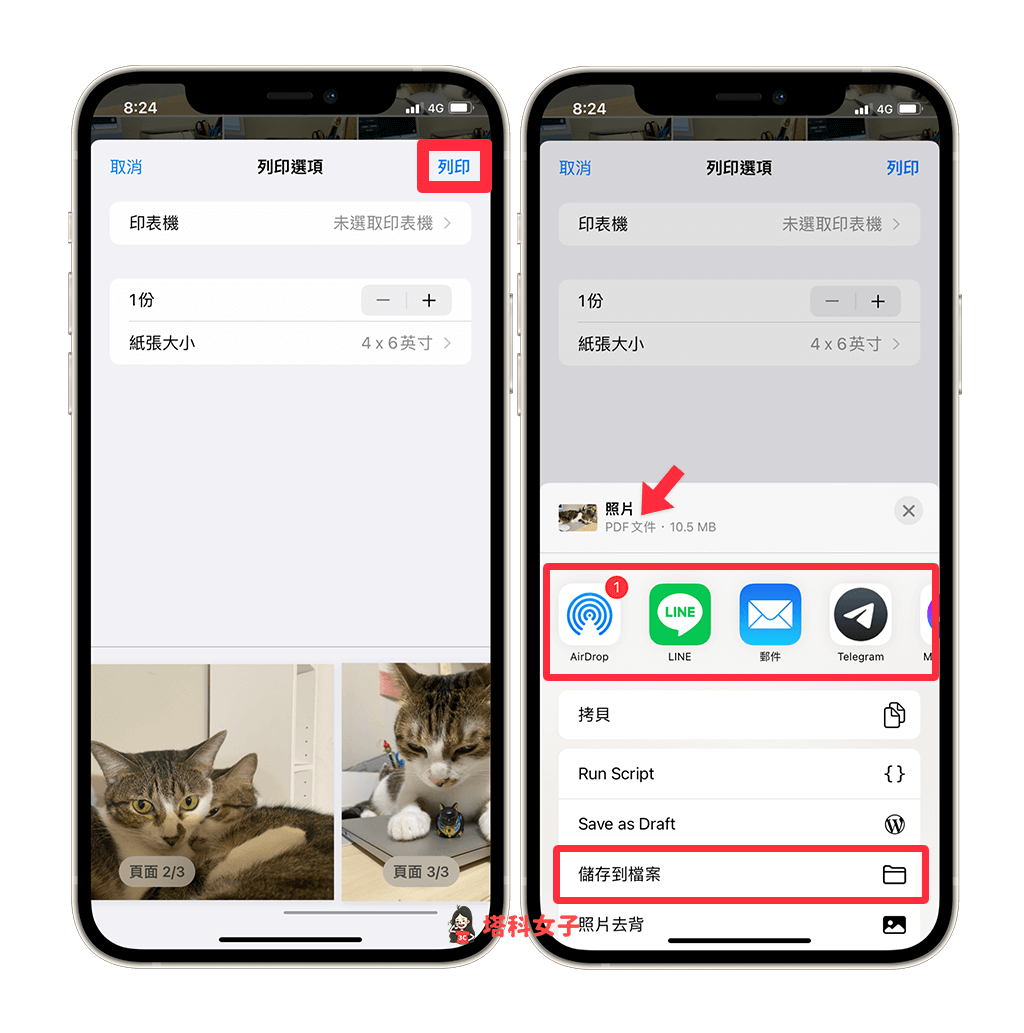iPhone 照片转 PDF 教程，3 招将照片从 JPG 转 PDF！ 第3张