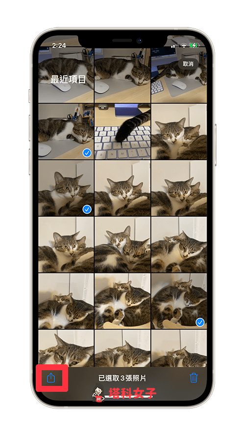 iPhone 照片转 PDF 教程，3 招将照片从 JPG 转 PDF！ 第4张