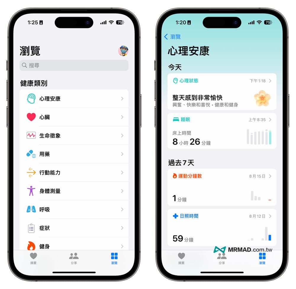 如何查询 iPhone 心理健康或情绪追踪纪录图资料
