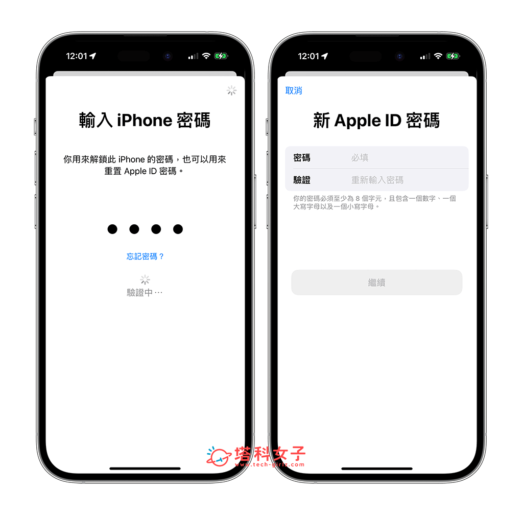 到「Apple 支持」重置 Apple ID 密码：输入新密码