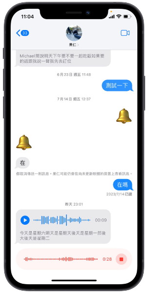 iOS 17自动把语音信息转成文字，教你如何开启与使用 第7张