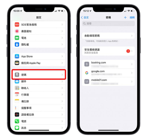 忘记登录密码怎么办？其实用iPhone就能快速查密码 第5张