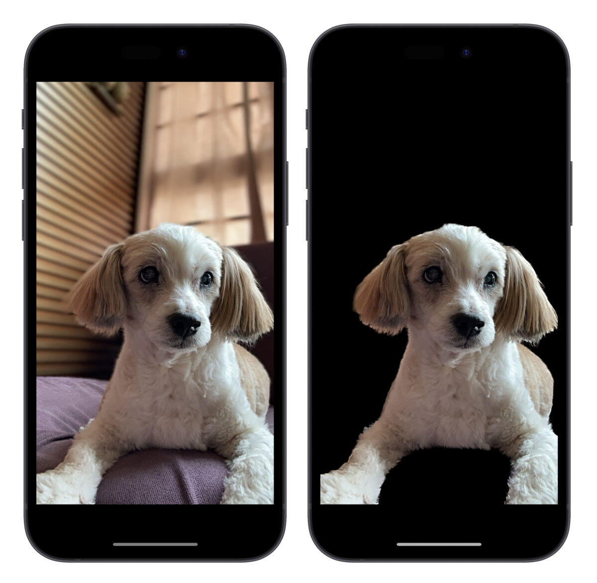 iPhone 进阶照片去背捷径分享：不只去背景、还能直接换背景 第5张