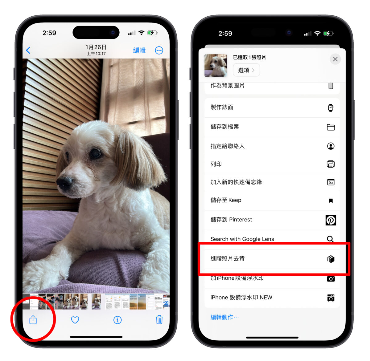 iPhone 进阶照片去背捷径分享：不只去背景、还能直接换背景 第9张
