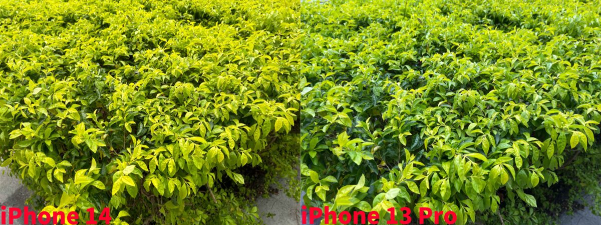 iPhone 14、iPhone 13 Pro 拍照实测：多了光像引擎有比较厉害吗？ 第9张