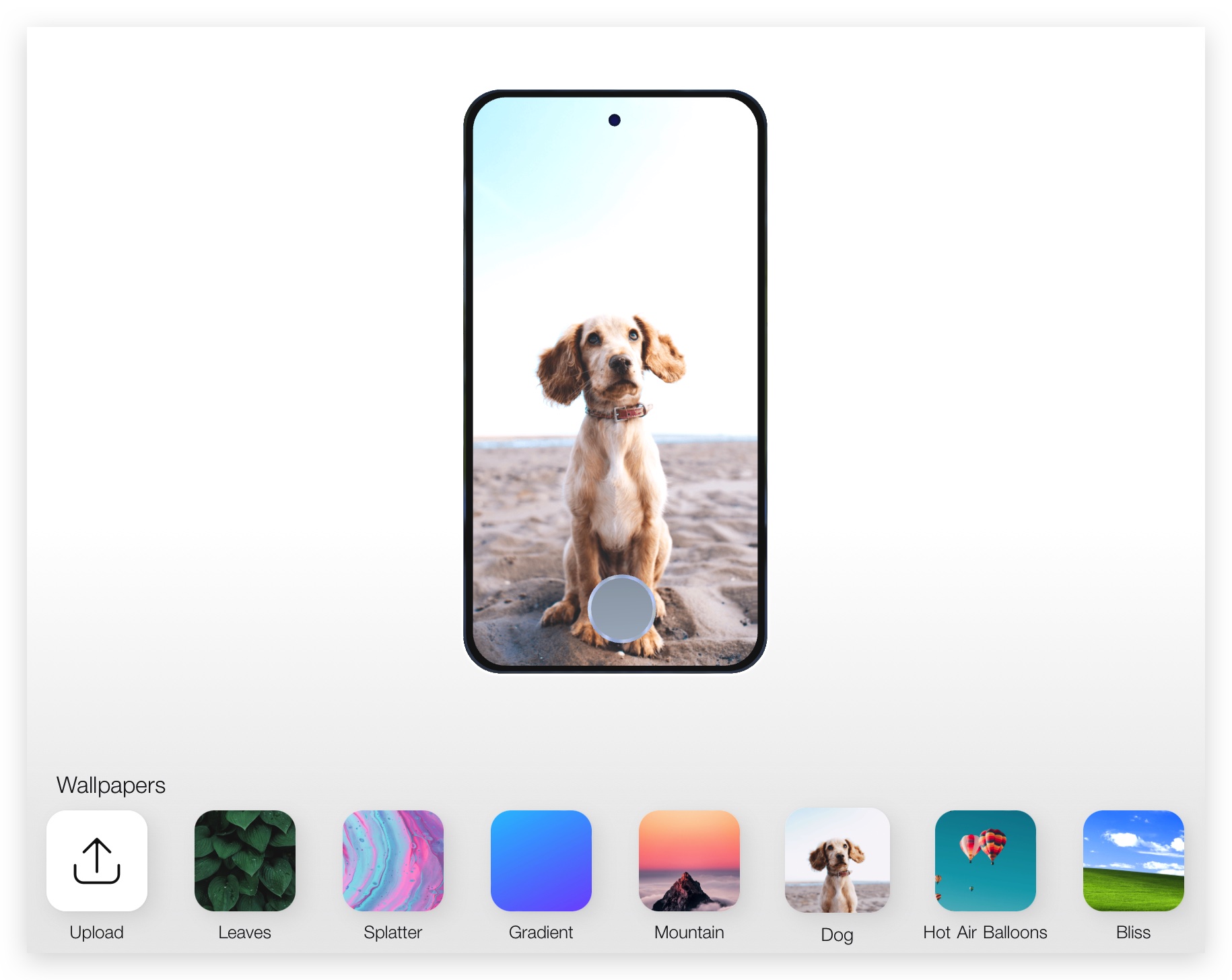 自己的 iPhone 自己设计！如果 有 4 颗镜头会变这样吗？ 第14张