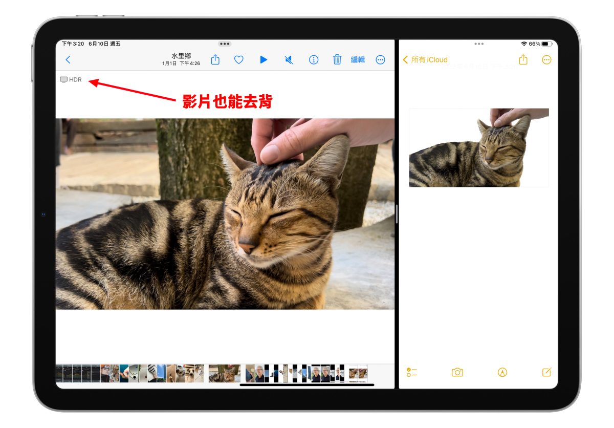 iPadOS 16「去背」功能怎么用？超方便拷贝主体长按一秒就完成 第9张