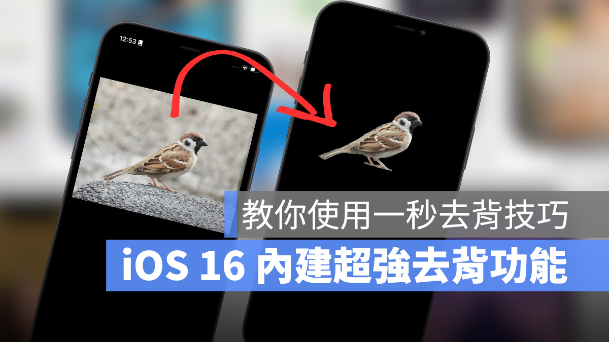 iOS 16 「拷贝主体」去背功能超强！教你使用内置技巧一秒去背 第1张